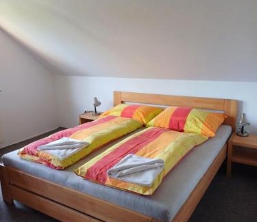 Nove Chalupy House | Penzion Hvozd