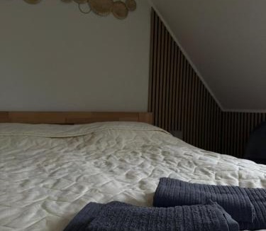 Rymarov House | Penzion Karin