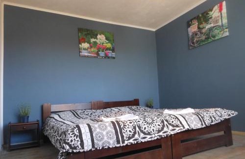 Starovicky House | Penzion Levandule a Palava