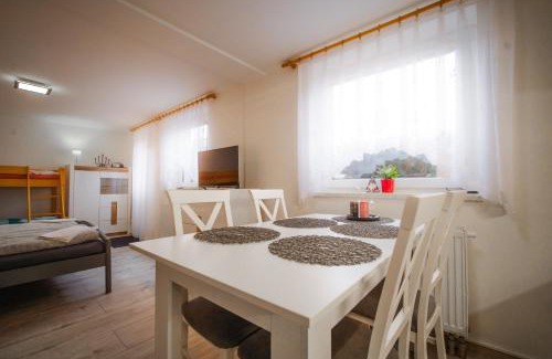 Bela pod Pradedem House | Penzion Mona