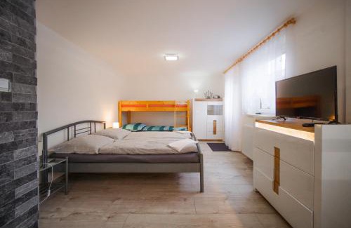Bela pod Pradedem House | Penzion Mona