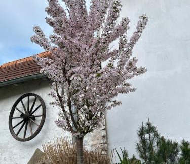 Lisov House | Penzion Na Plácku