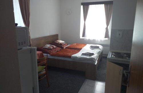Strasin Apartment | Penzion Na Výsluní