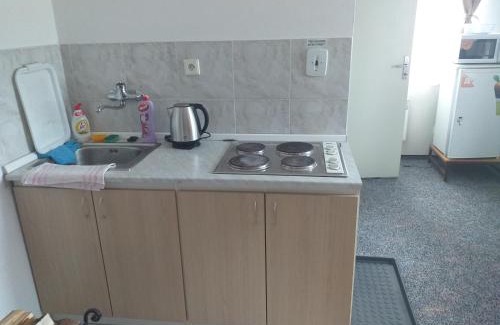 Strasin Apartment | Penzion Na Výsluní