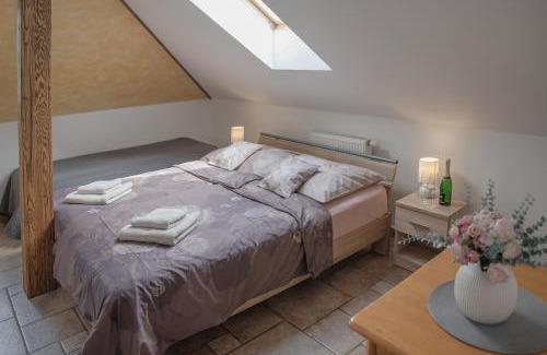 Olomouc House | Penzion No. 1