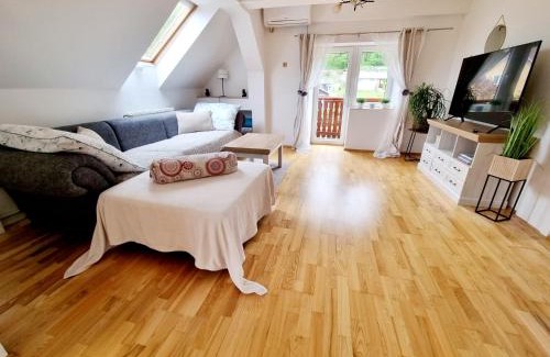 Usti nad Labem District House | Penzion ORION
