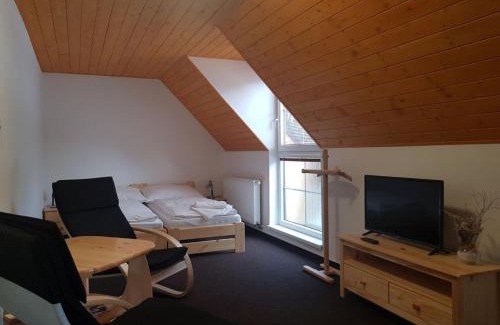 Loucna nad Desnou House | Penzion Přemyslov
