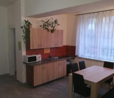 Frydlant nad Ostravici House | Penzion PALMA