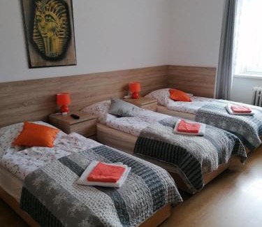 Frydlant nad Ostravici House | Penzion PALMA