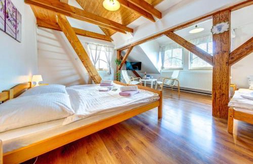 Lazne Belohrad House | Penzion Petra