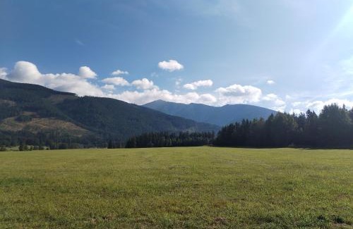 Ziar House | Penzion Real
