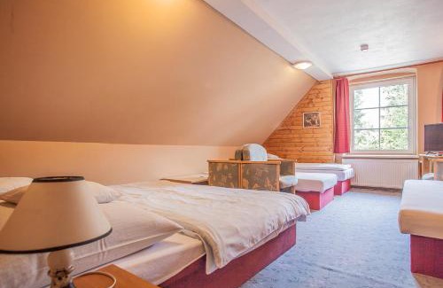 Lipova-Lazne House | Penzion SATEK