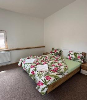 Ostrozska Nova Ves Apartment | Penzion Slovácko 2