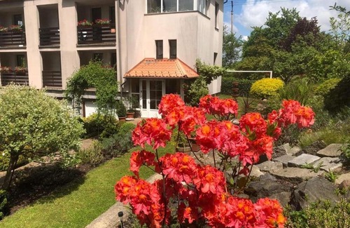 Ceska Ves House | Penzion Swist