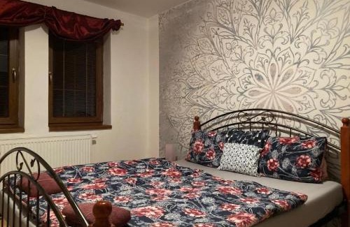 Decin District Apartment | Penzion U bílého jaka