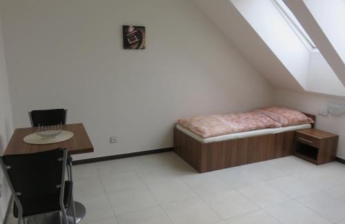 Veseli nad Moravou House | Penzion U Dulíka