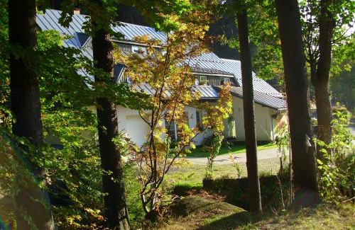 Desna House | Penzion U Kocoura