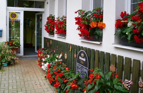 Desna House | Penzion U Kocoura