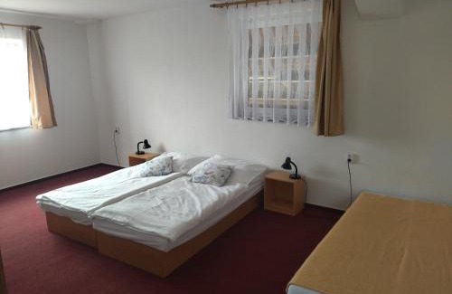 Srnin House | Penzion u Krumlova