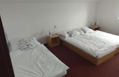 Srnin House | Penzion u Krumlova