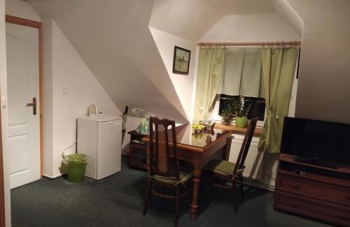 Rychnov nad Kneznou House | Penzion v chaloupce