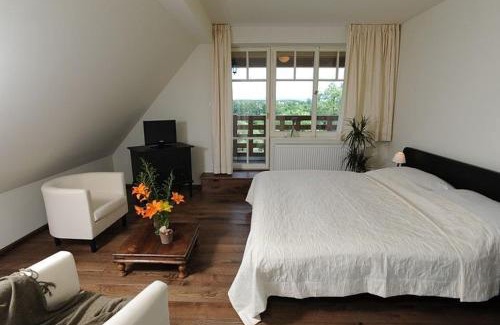 Bechyne House | Penzion Vila Elektra