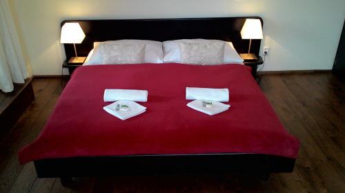 Bechyne House | Penzion Vila Elektra