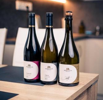 Velke Pavlovice House | Penzion vinařství Mikulica