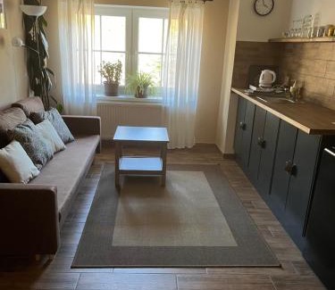 Mezimesti House | Penzion WIESEN