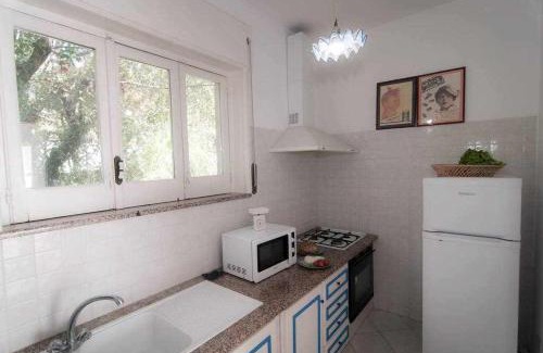 Sirenuse Apartment | Peony apartment in Nerano with amazing sea view