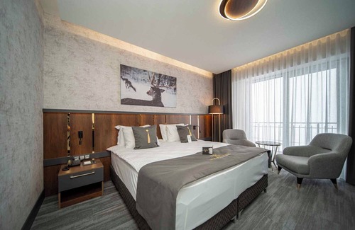 Melikgazi Hotel | Peony Palace Hotel