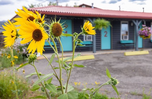 Salida Apartment | Perfect Colorado Adventure Pad! Ski Monarch Mtn or float the Arkansas River.