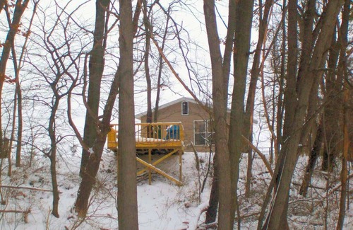 Marcellus Cabin | Perfect couple's retreat or family getaway less than an hour from Lake Michigan!