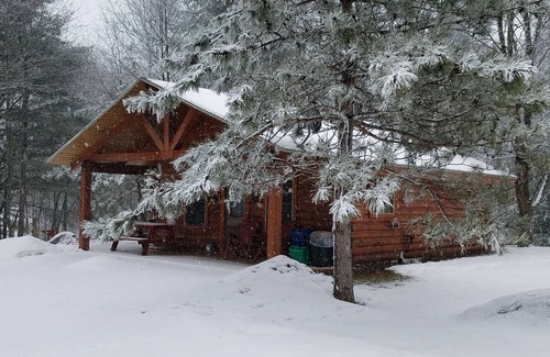 Mountain Cabin | Perfect for Families & Friends, Pet Friendly, Horse Theme, Log Cabin, Fireplace