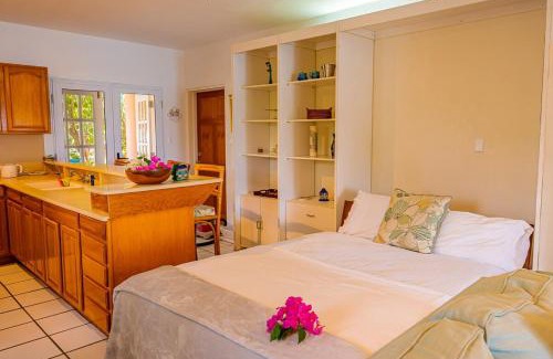 All Saints Apartment | Perfect Hillside Ocean View