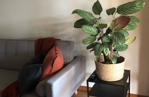 Bendigo Apartment | Perfect Location - 2 Bedroom Modern Unit