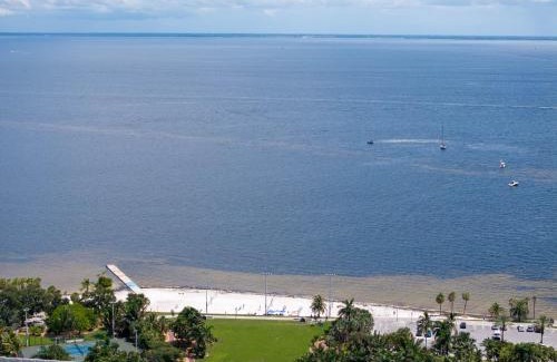Historic Old Northeast Apartment | Perfect Location Vinoy Beach Getaway Sun and fun
