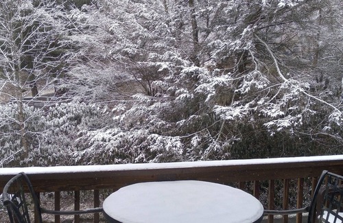 Banner Elk Condo | Perfect Mountain Hideaway, conviently nestled in the center of it all.