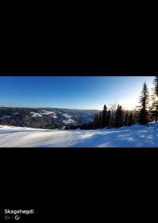 Gol Apartment | Perfect moutain getaway! Beautiful Apartment at Skagahøgdi with Panoramic View