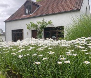 Leeuwergem House | Perlefien