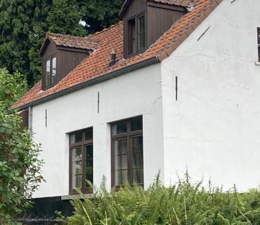 Leeuwergem House | Perlefien