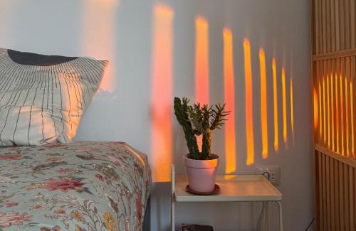 San Andres Bed & Breakfast | Perro y Osito Coliving - San Andrés