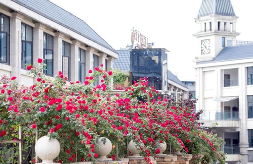 Qianwei County Hotel | Perry Garden Hotel