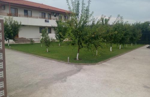 Murighiol House | Pestele Ca Odinioară