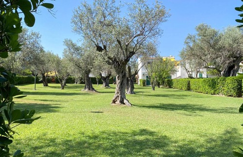 Sant'Andrea Apostolo dello Ionio Apartment | Pet friendly apartment