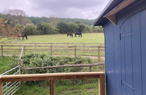 Longhope Cabin | Pet Friendly - 2 Guests - Original Roadsmans Wagon