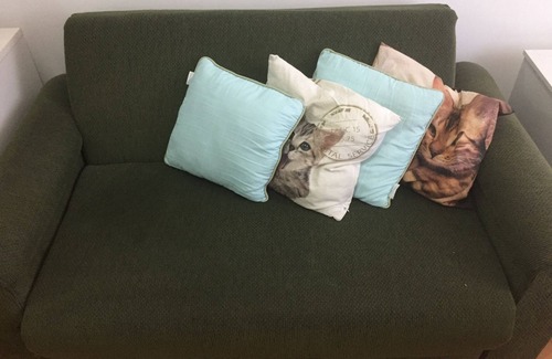 Canela Apartment | Pet friendly apartament