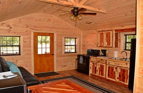 Buchanan House | PET FRIENDLY 🐾 Cabin#2 Swan Bay Cabins & RV Park, Paris Tn, Kentucky Lake