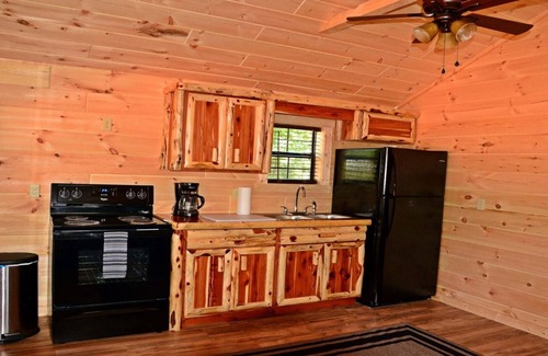 Buchanan House | PET FRIENDLY 🐾 Cabin#2 Swan Bay Cabins & RV Park, Paris Tn, Kentucky Lake