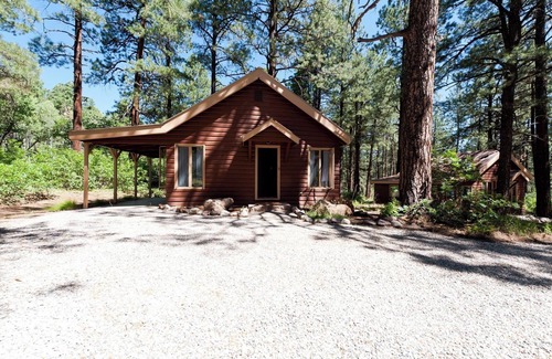 Purgatory House | Pet Friendly Cabin on 3.5 acres between Durango and Purgatory - Fire Pit